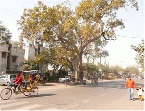 Images/delhi 083.jpg
